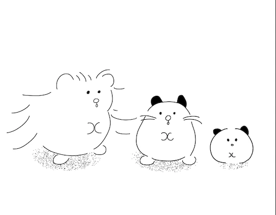 햄